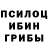 Псилоцибиновые грибы Psilocybe Irina Lomsadze