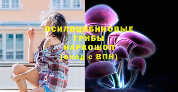 бошки Алексин