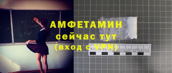 сатива Алзамай