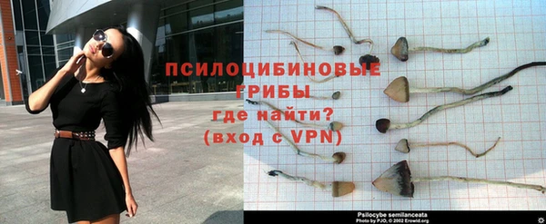 сатива Алзамай