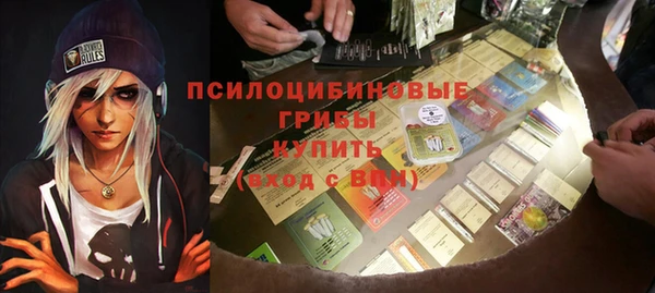 амф Арсеньев