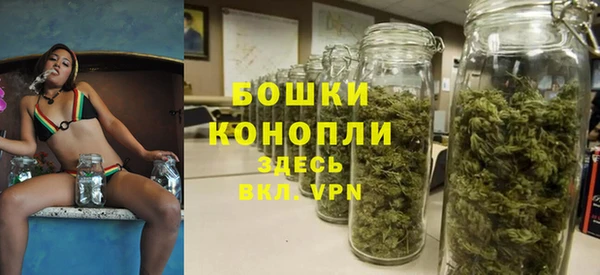 бошки Алексин