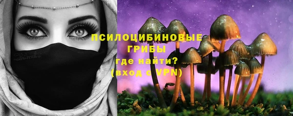 сатива Алзамай