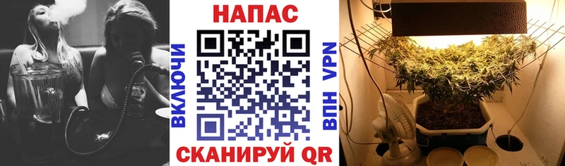 Каннабис White Widow KRAKEN нарко площадка какой сайт Аркадак